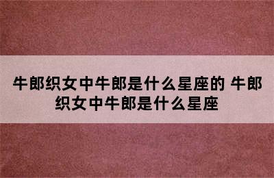 牛郎织女中牛郎是什么星座的 牛郎织女中牛郎是什么星座